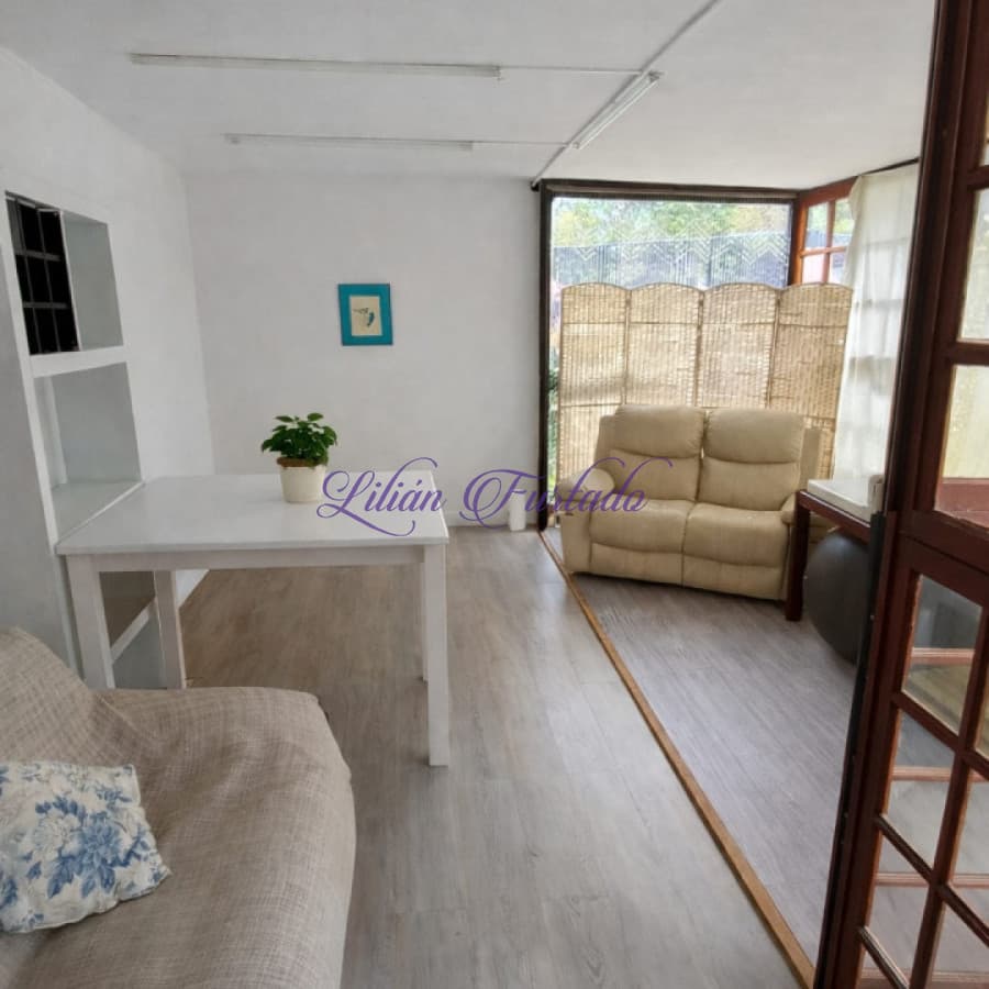Oficina Contenedor Vidriada  - Lilian Furtado Negocios Inmobiliarios