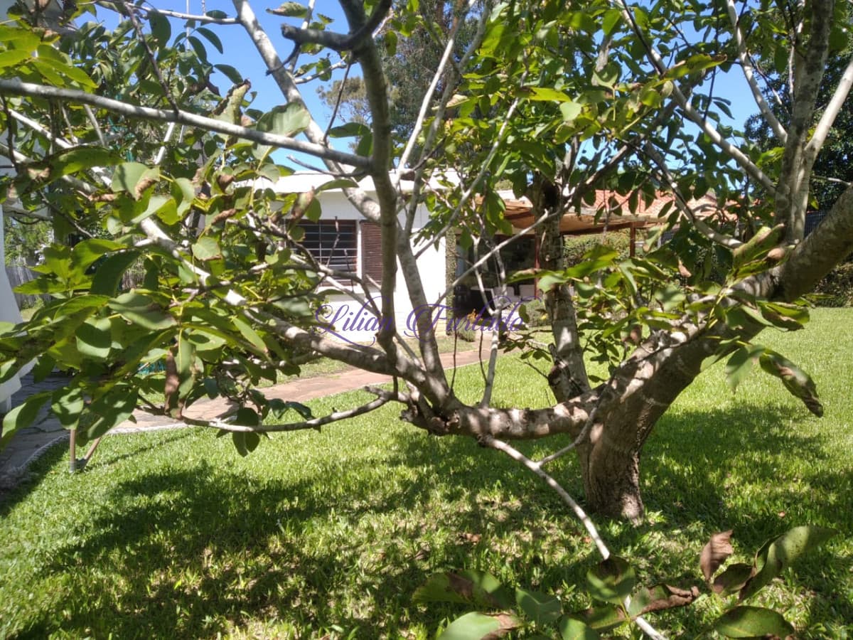 VENTA CASA EN PINARES - Lilian Furtado Negocios Inmobiliarios