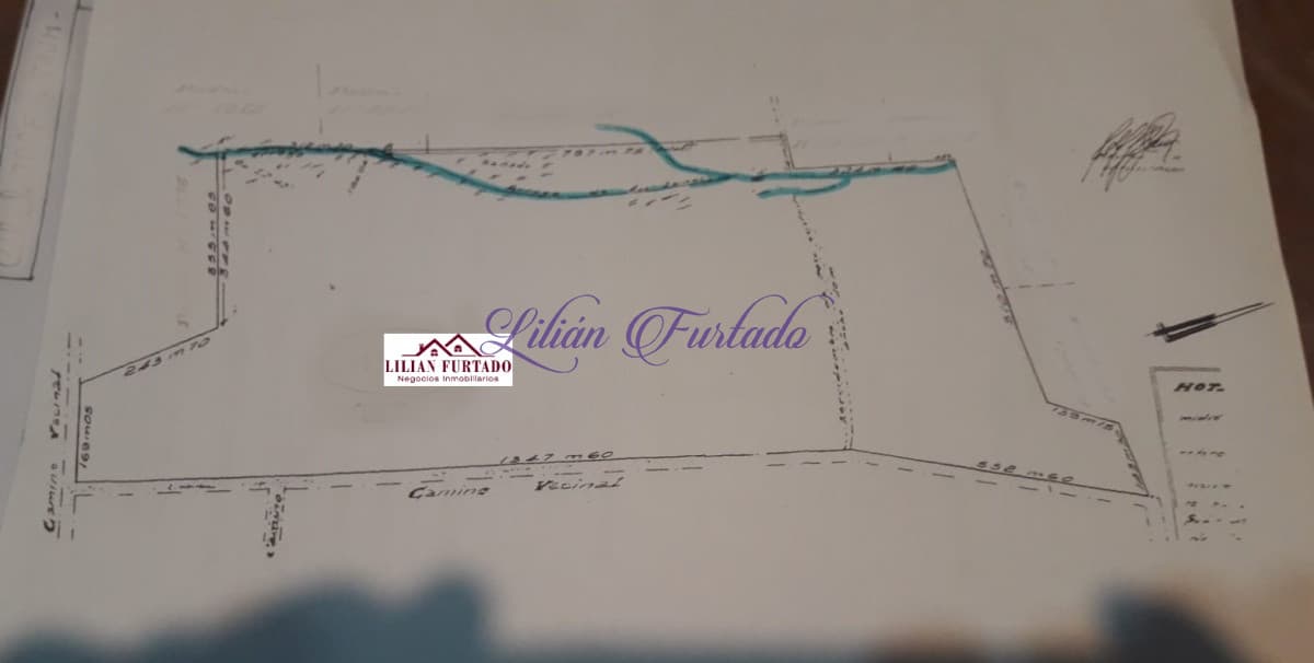 VENTA 100 Has. EN EXCELENTE UBICACIÓN, A POCA DISTANCIA DE PUNTA DEL ESTE - Lilian Furtado Negocios Inmobiliarios