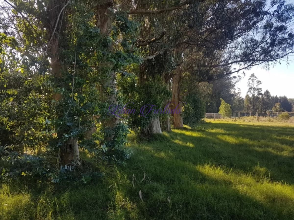 TERRENO EL TESORO-MIRAMAR ACRES-ALTO 1800m2 - Lilian Furtado Negocios Inmobiliarios