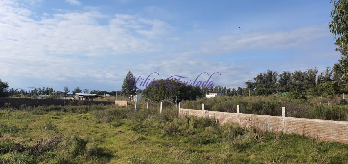 Terrenos 1800 m2 MURO LADRILLO REV PIEDRA- PUNTA DEL ESTE - Lilian Furtado Negocios Inmobiliarios