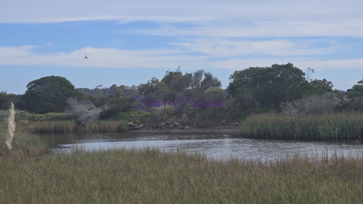 Terreno en La Barra, El Tesoro - Lilian Furtado Negocios Inmobiliarios
