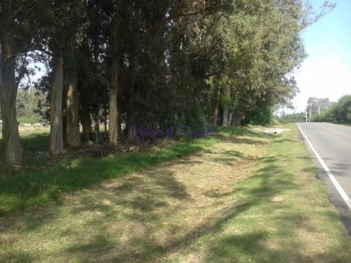 TERRENO EL TESORO-MIRAMAR ACRES-ALTO 1800m2 - Lilian Furtado Negocios Inmobiliarios