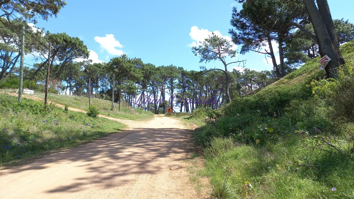 VENTA 1001 m2 EN RINCÓN DEL INDIO -PUNTA DEL ESTE - Lilian Furtado Negocios Inmobiliarios