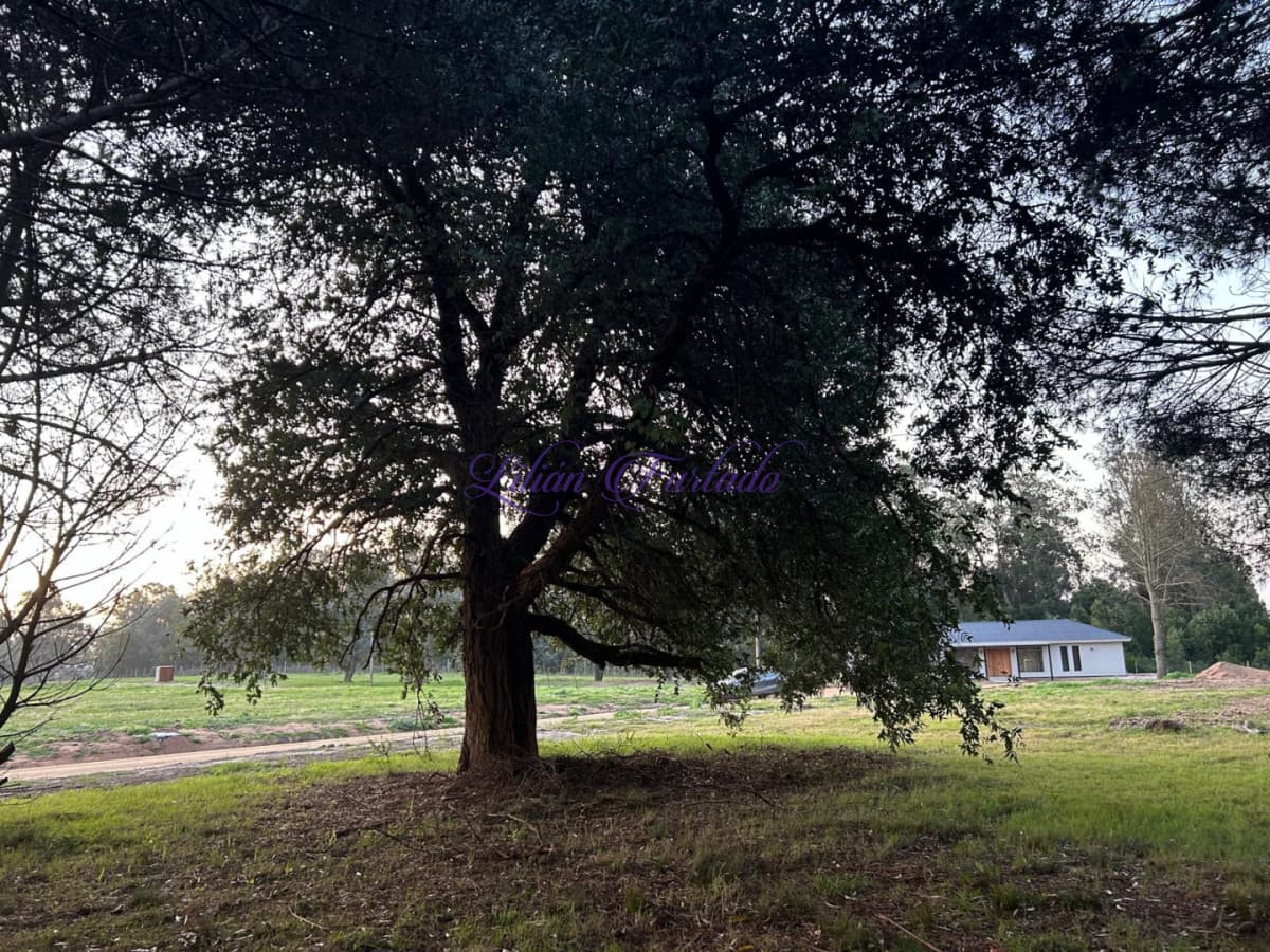 Lote en Don MIGUEL barrio privado - Lilian Furtado Negocios Inmobiliarios