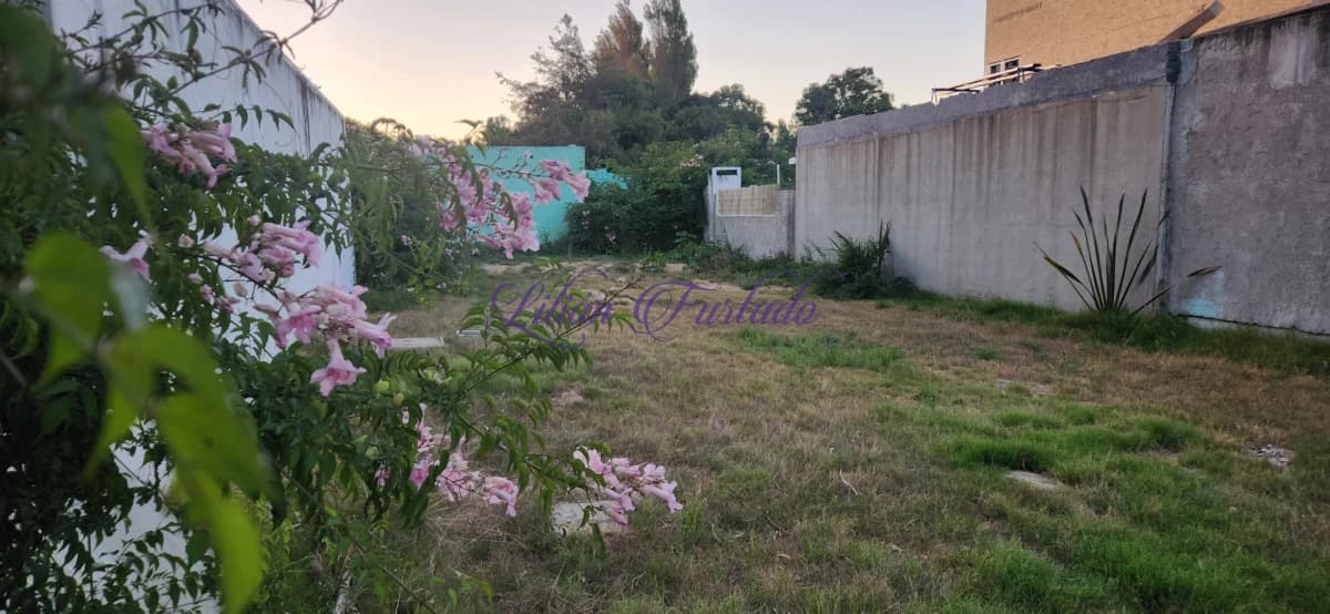 Terreno Comercial exelente entorno a metros de Ruta 10 300m2 - Lilian Furtado Negocios Inmobiliarios