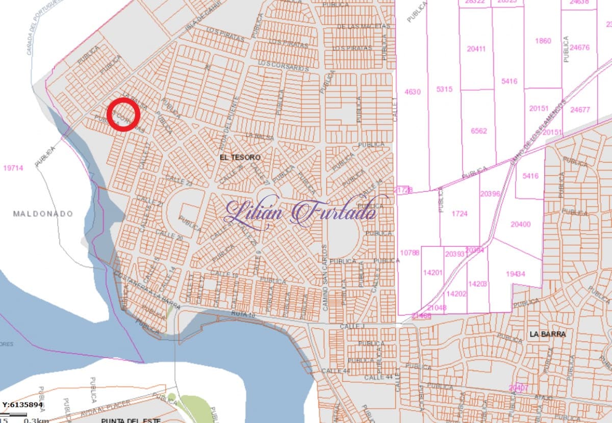 TERRENO DE 680 m2 EN ZONA MUY ALTA EN EL TESORO - LA BARRA - Lilian Furtado Negocios Inmobiliarios