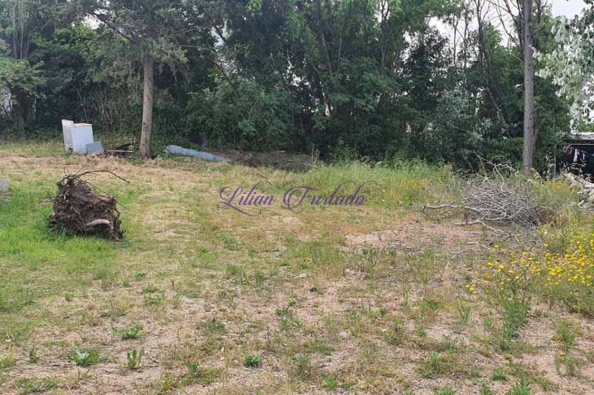 TERRENO DE 680 m2 EN ZONA MUY ALTA EN EL TESORO - LA BARRA - Lilian Furtado Negocios Inmobiliarios