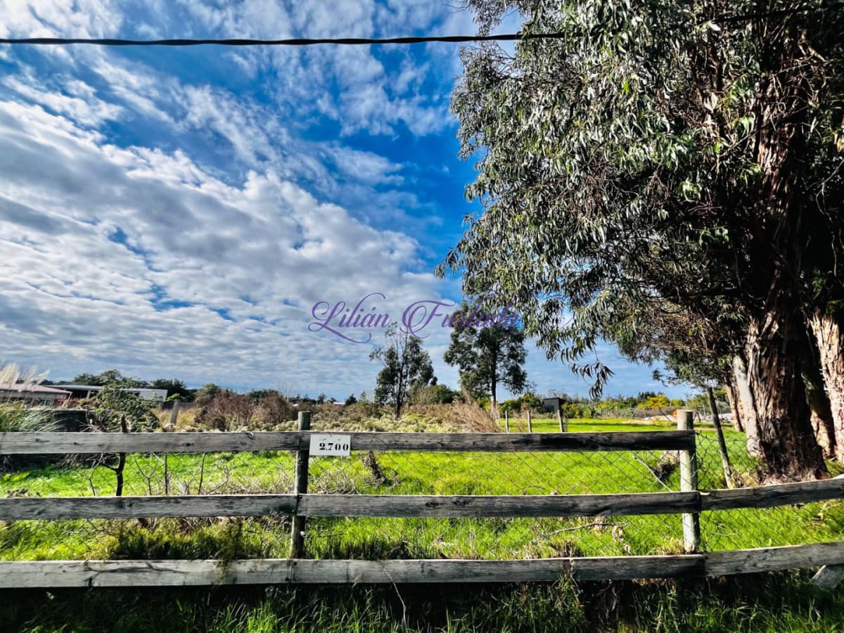 Terreno en venta Miramar Acre cno Eguzquiza en Área de Expansión Comercial Estratégica , ideal para desarrollo.l   - Lilian Furtado Negocios Inmobiliarios