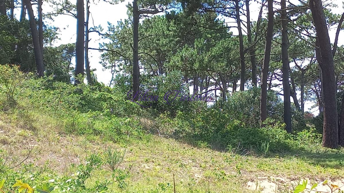 VENTA 1001 m2 EN RINCÓN DEL INDIO -PUNTA DEL ESTE - Lilian Furtado Negocios Inmobiliarios