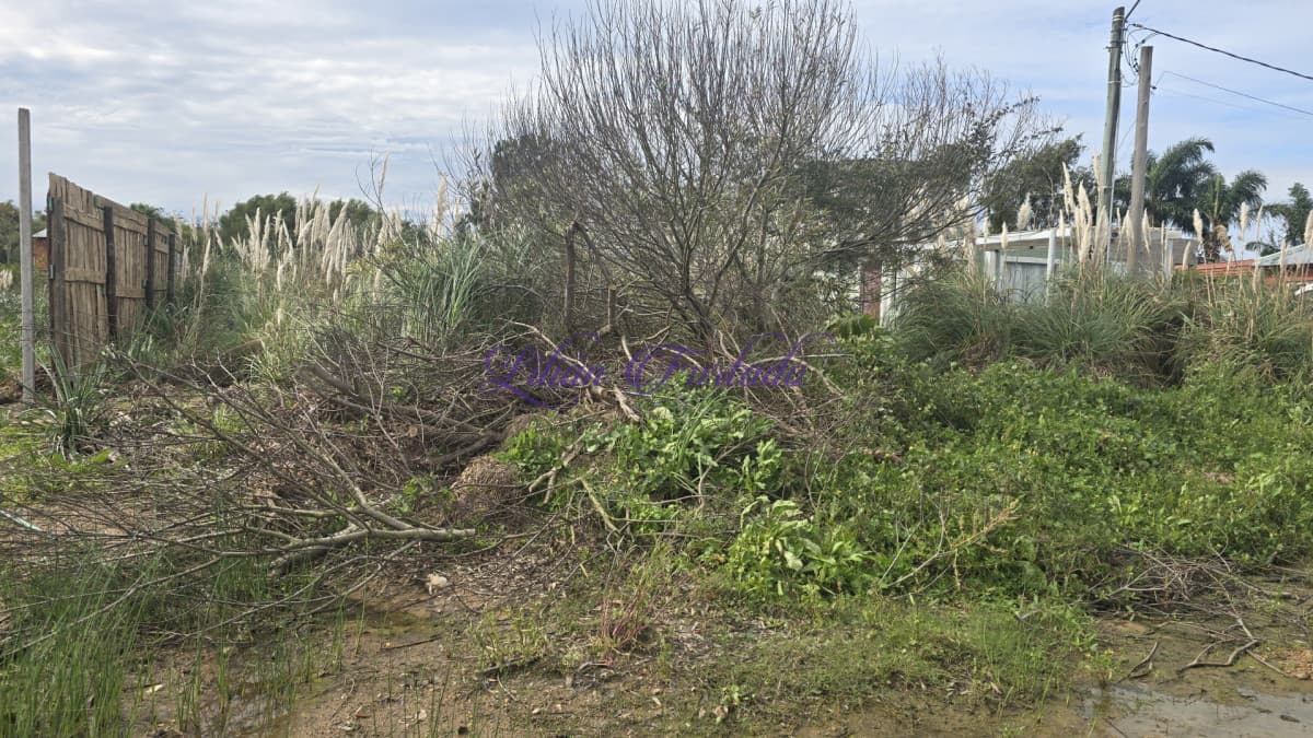 Terreno en La Barra, El Tesoro - Lilian Furtado Negocios Inmobiliarios