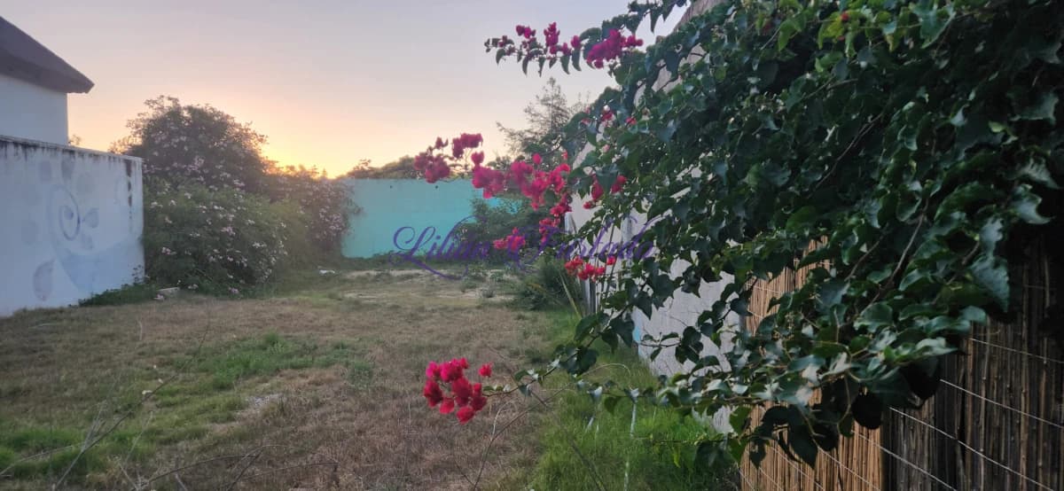 Terreno Comercial exelente entorno a metros de Ruta 10 300m2 - Lilian Furtado Negocios Inmobiliarios