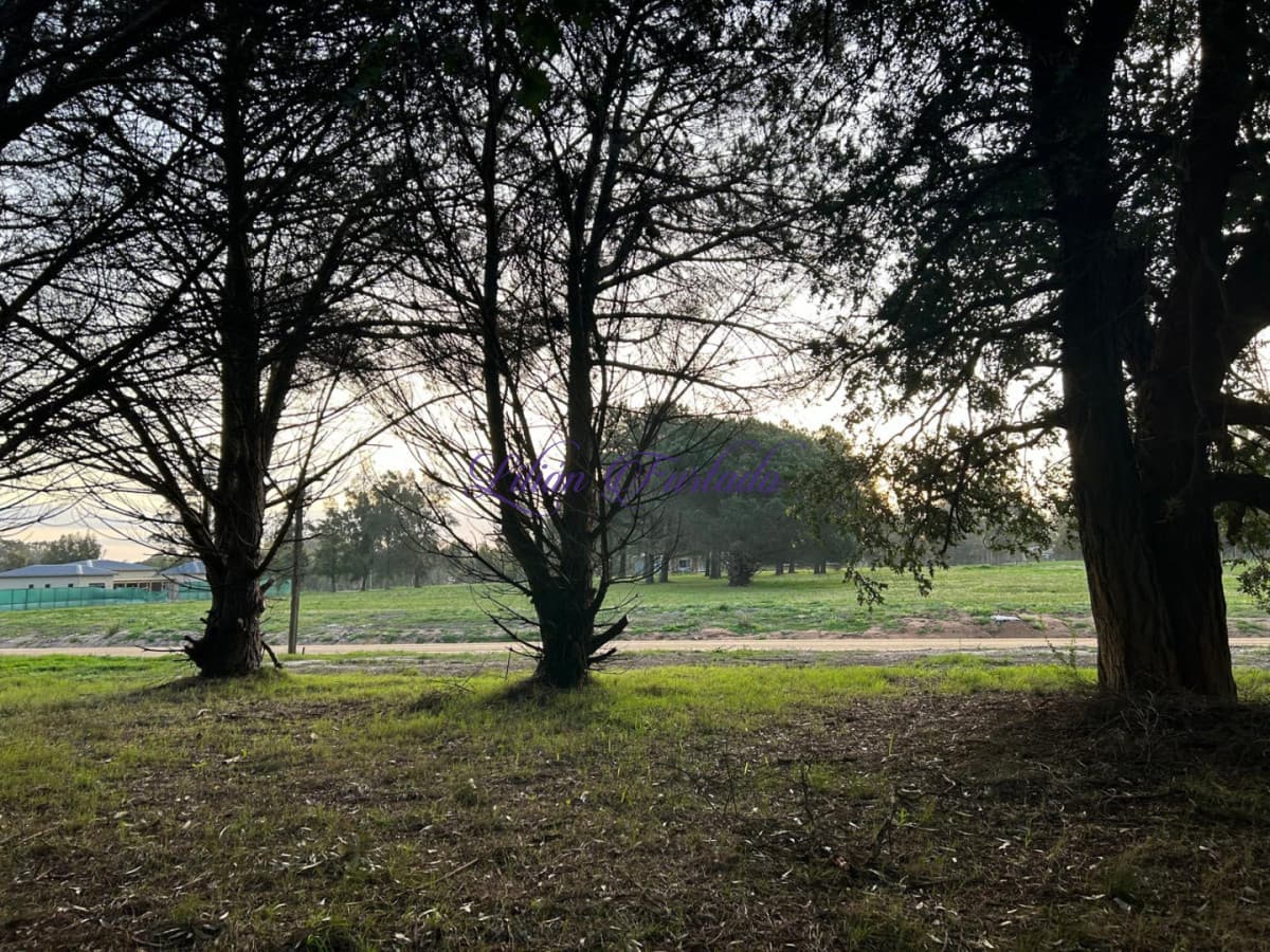 El tesoro 600 M2 nuevo Ingreso  - Lilian Furtado Negocios Inmobiliarios