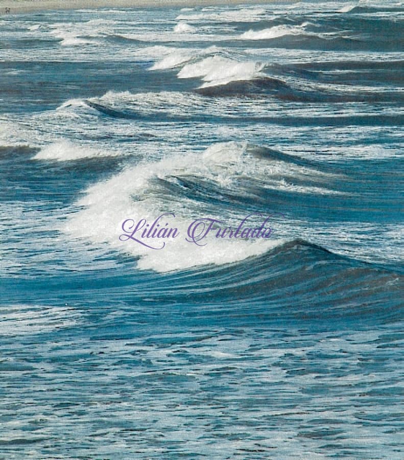 Punta Piedra Altos vista al mar! - Lilian Furtado Negocios Inmobiliarios
