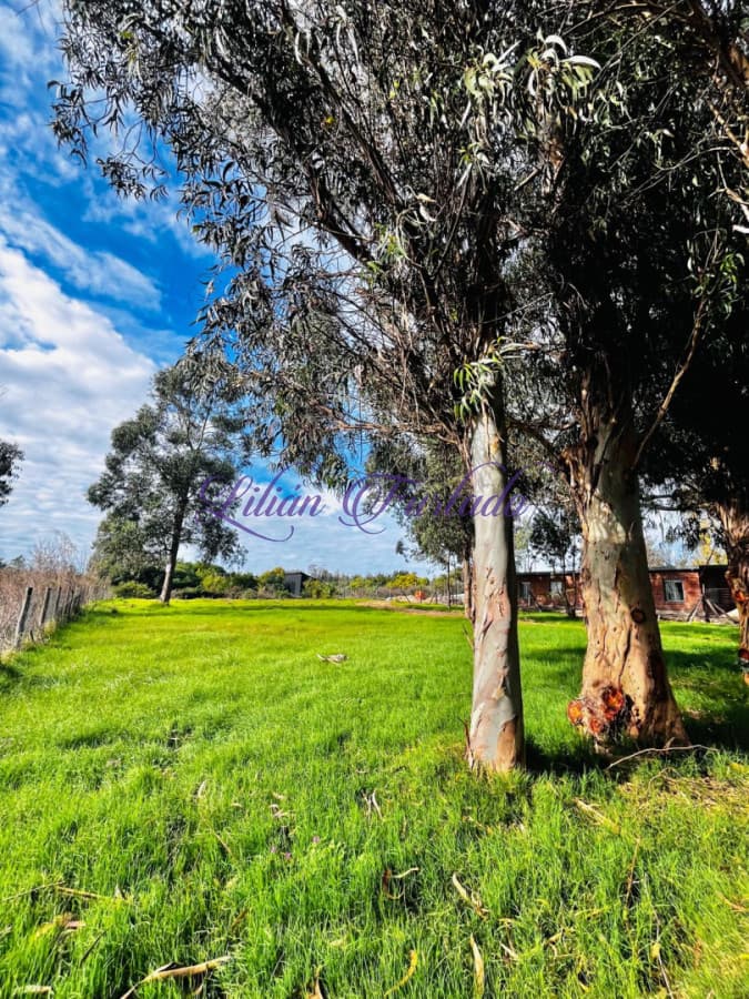Terreno en venta Miramar Acre cno Eguzquiza en Área de Expansión Comercial Estratégica , ideal para desarrollo.l   - Lilian Furtado Negocios Inmobiliarios