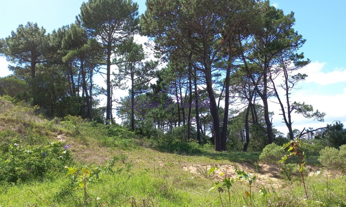 VENTA 1001 m2 EN RINCÓN DEL INDIO -PUNTA DEL ESTE - Lilian Furtado Negocios Inmobiliarios