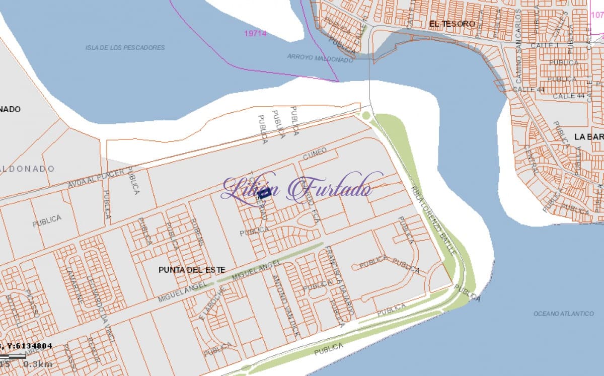 VENTA 1001 m2 EN RINCÓN DEL INDIO -PUNTA DEL ESTE - Lilian Furtado Negocios Inmobiliarios