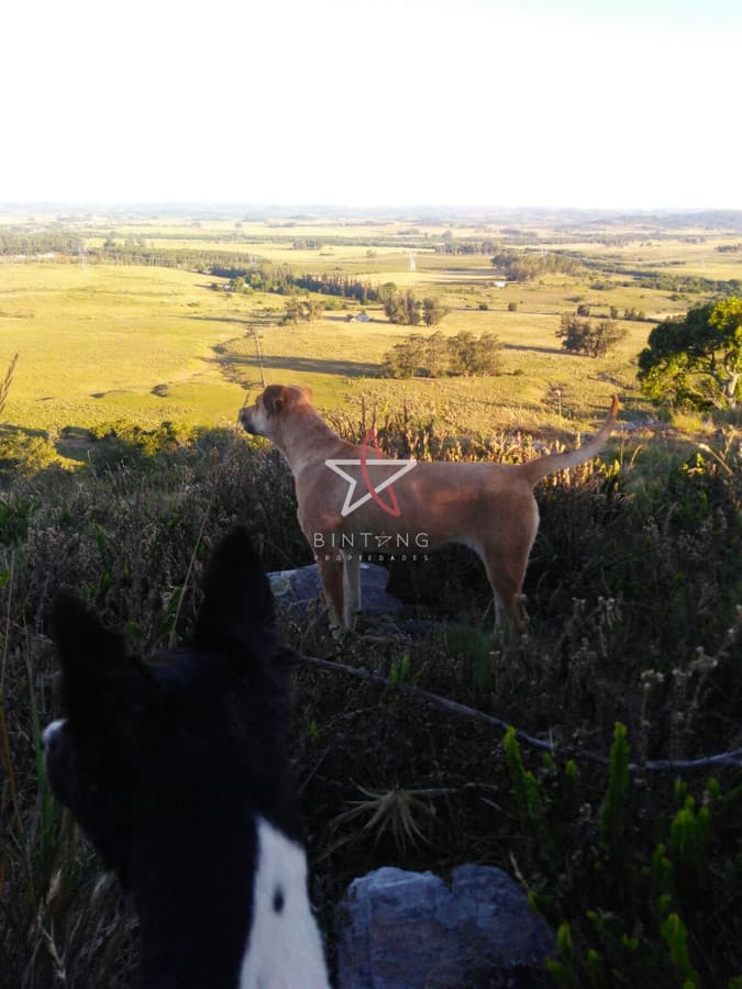 campo agricola ganadero sobre ruta 13 a 5 kilómetros de aigua  - Bintang Propiedades