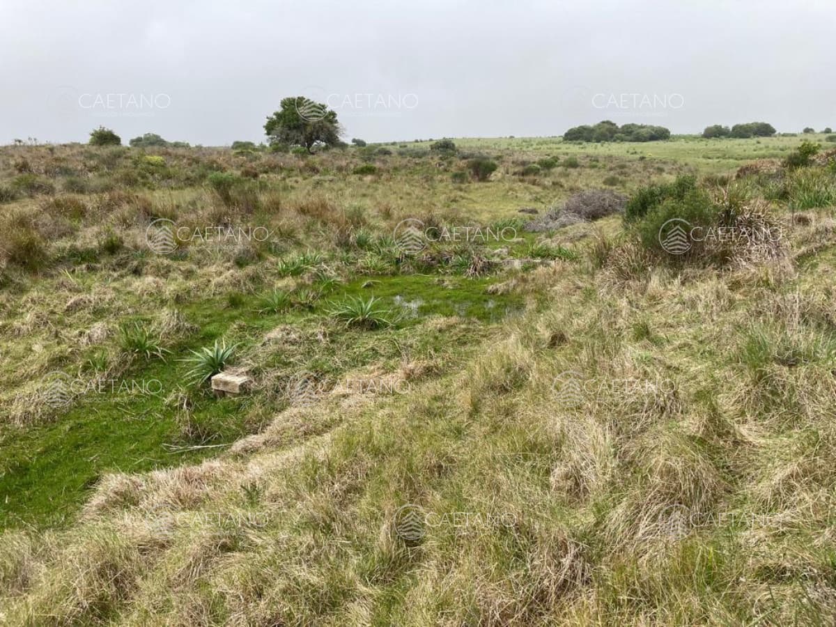 Venta chacra 7 hectáreas, Ruta 39