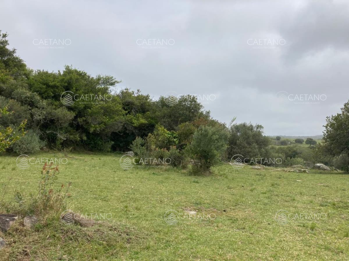 Venta chacra 7 hectáreas, Ruta 39