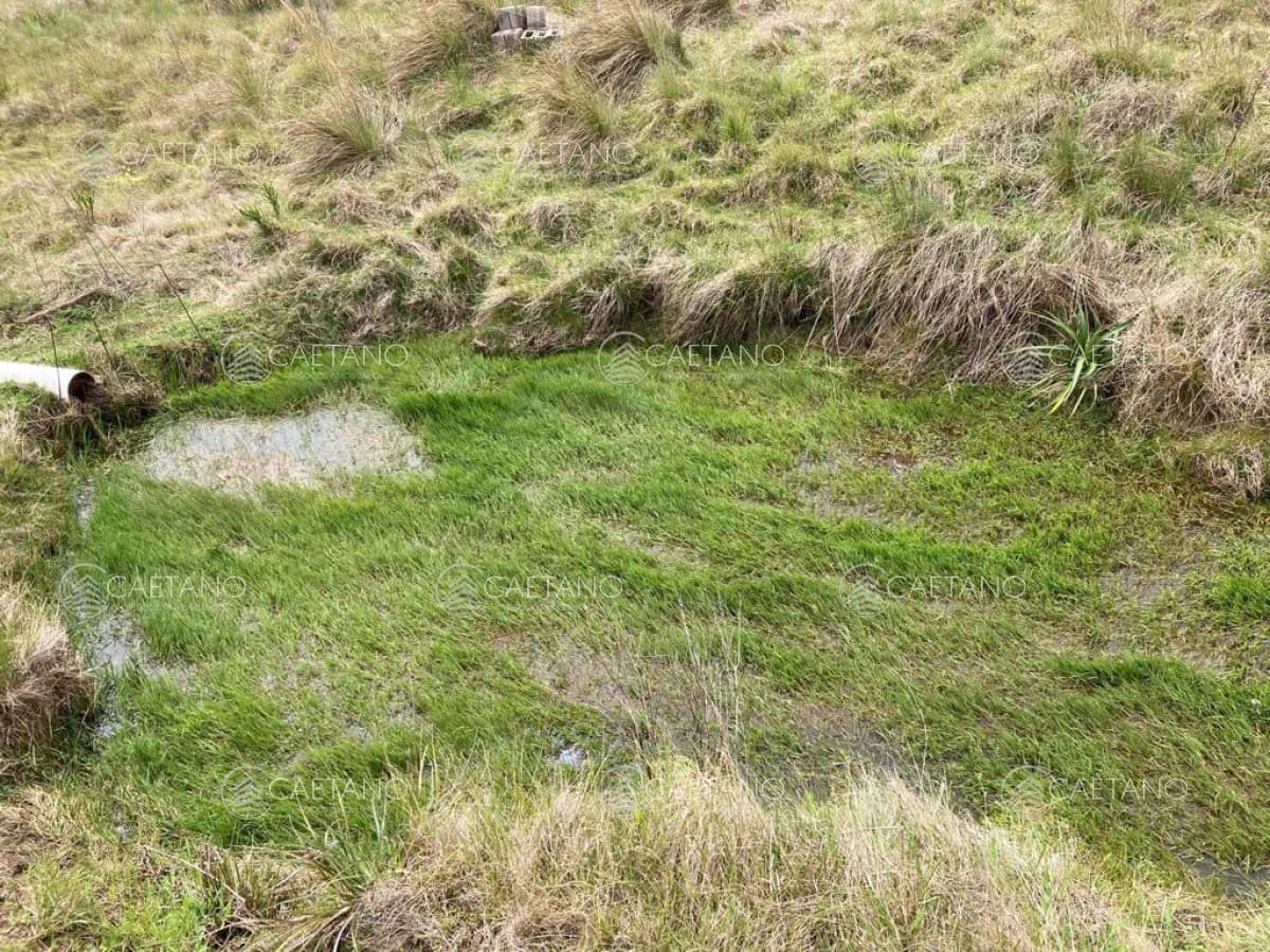 Venta chacra 7 hectáreas, Ruta 39