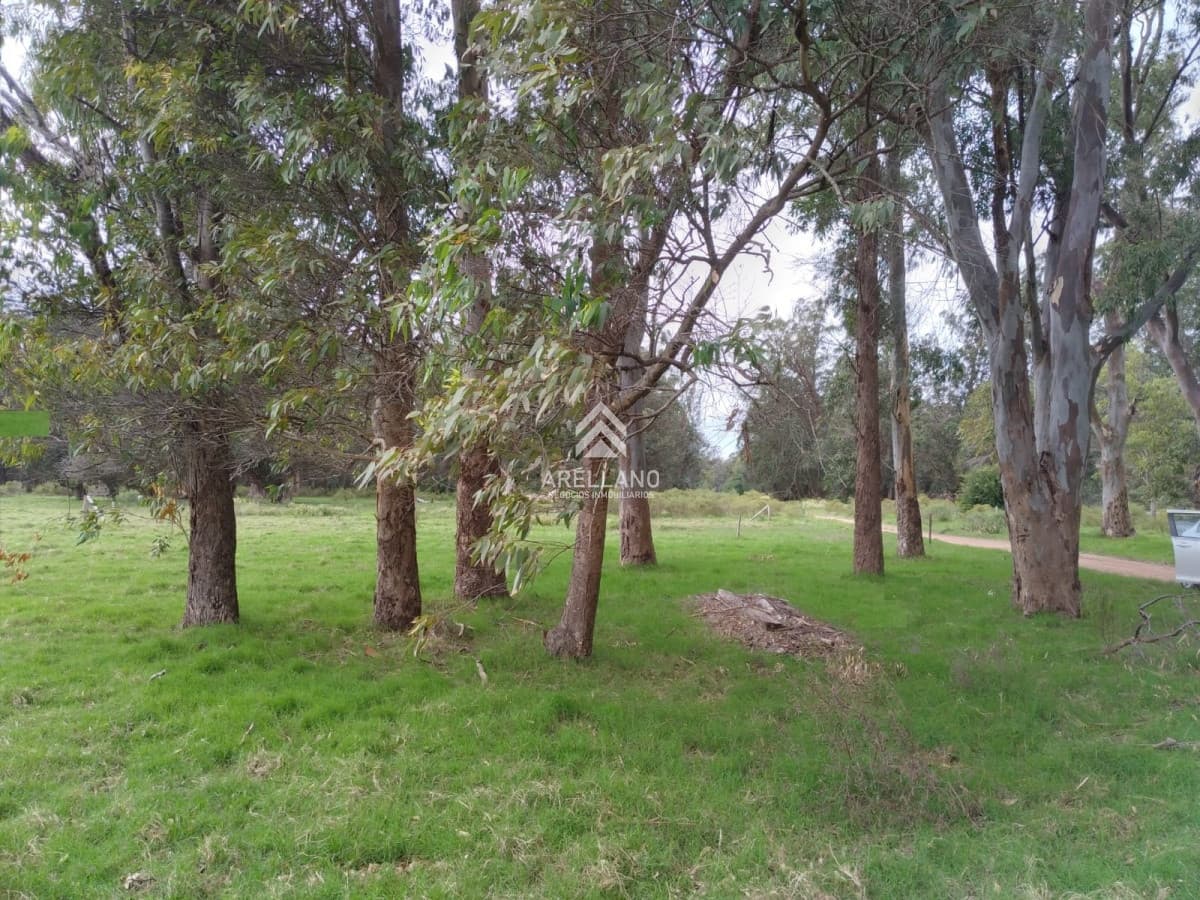 Terreno ID.3972 - Terreno en Eden Rock 70m2