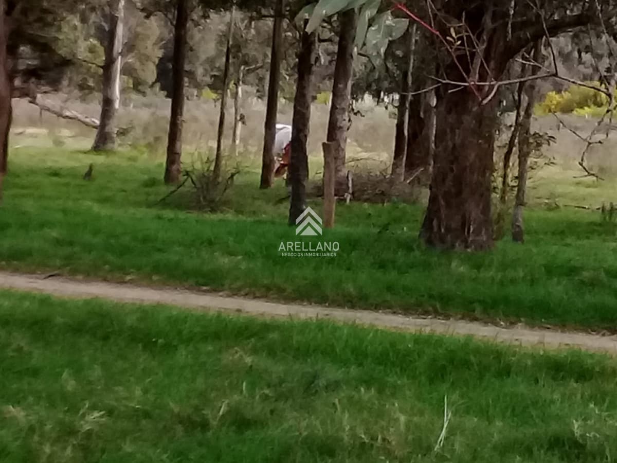 Terreno ID.3972 - Terreno en Eden Rock 70m2