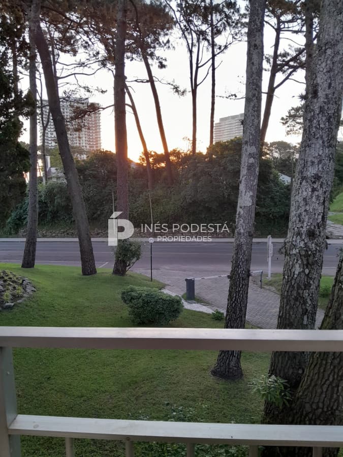 Apartamento en alquiler de 1 dormitorio