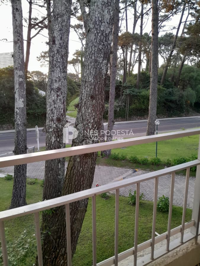Apartamento en alquiler de 1 dormitorio