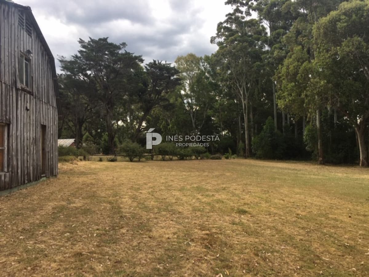 Chacra ID.36996 - Chacra en Punta Ballena