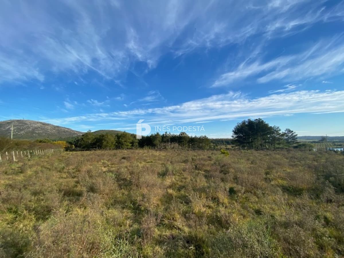 Chacra ID.38143 - Venta Chacra Piriápolis