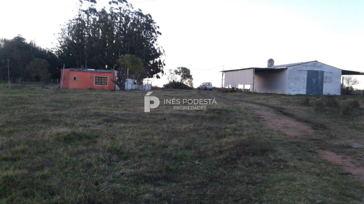 Chacra ID.37960 - Chacra de 3 hectáreas