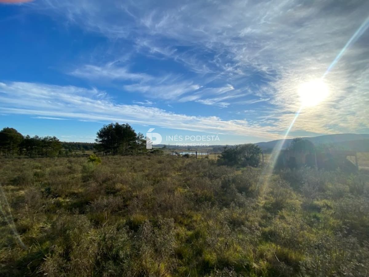 Chacra ID.38143 - Venta Chacra Piriápolis