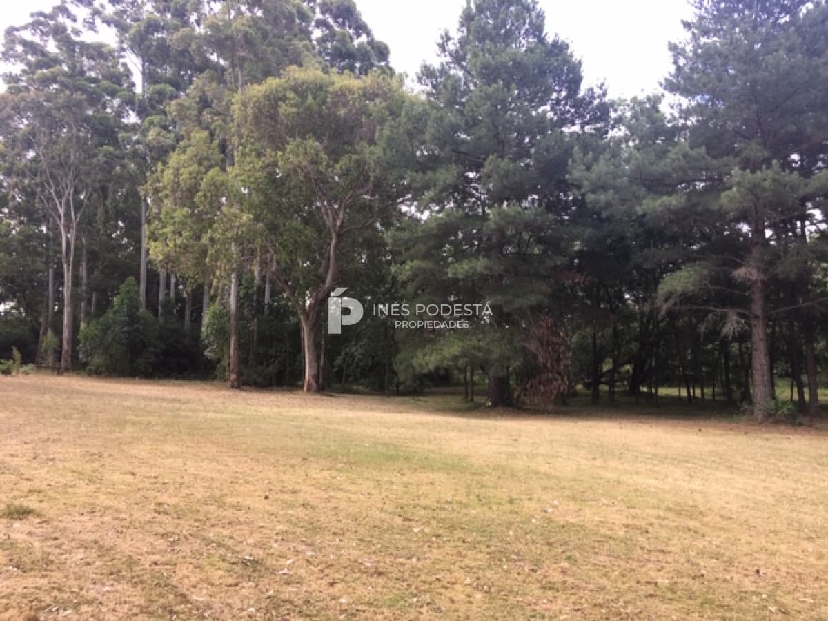 Chacra ID.36996 - Chacra en Punta Ballena