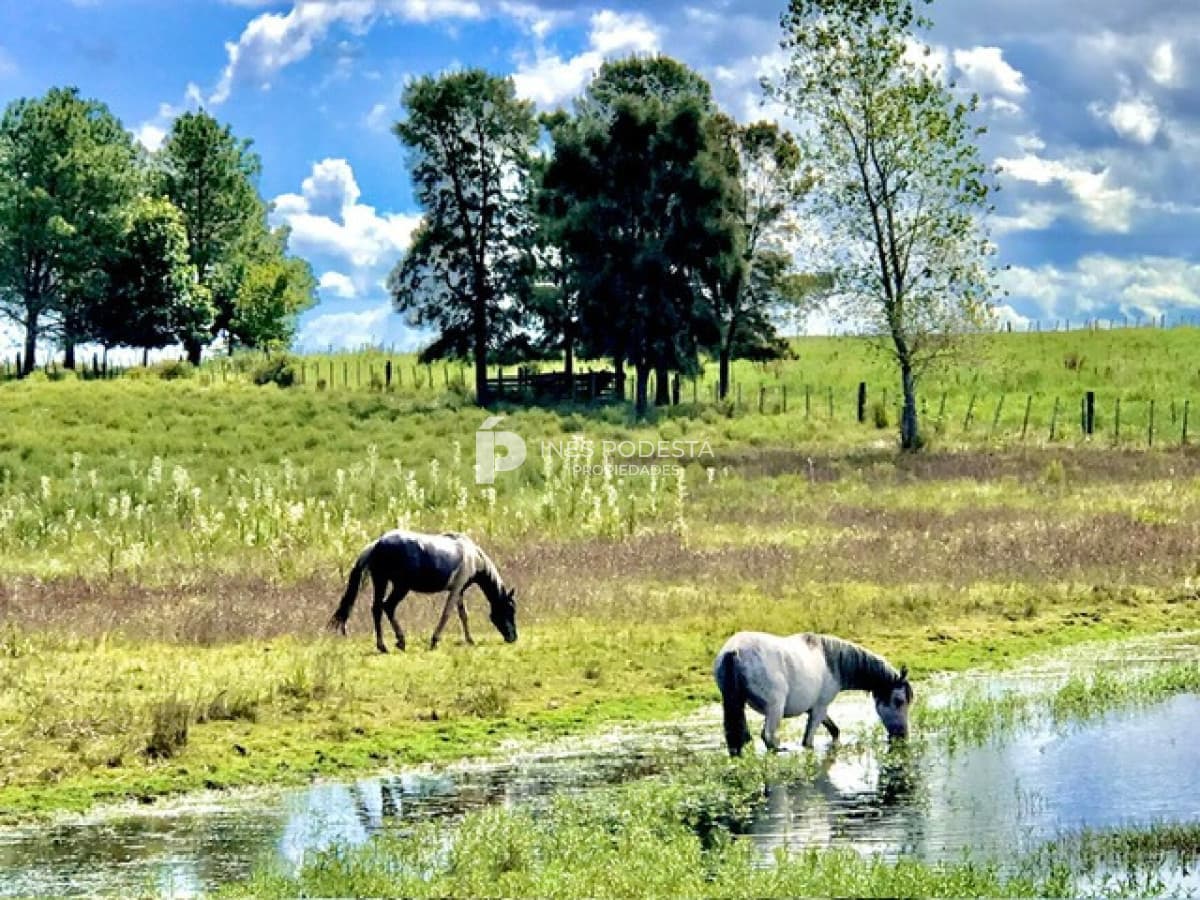 Chacra ID.41925 - Venta campo 5 hectáreas