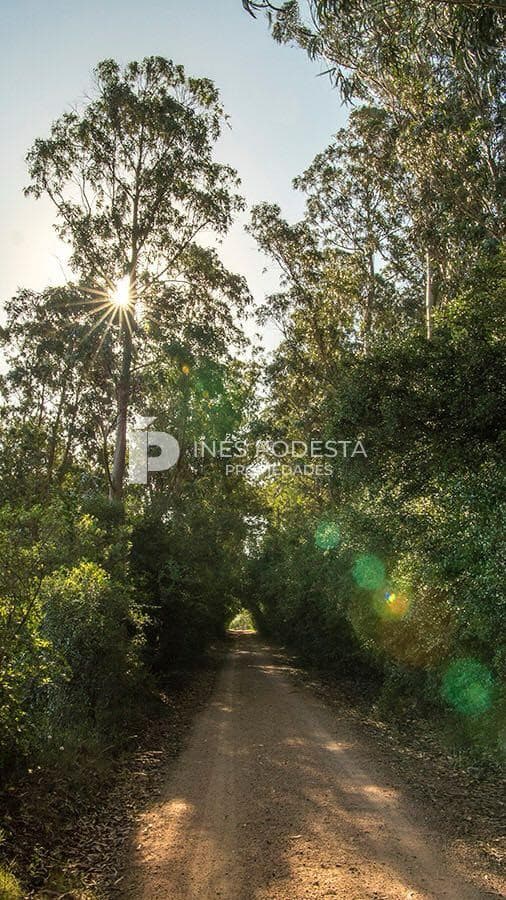 Chacra ID.41740 - Terreno en Venta de 11 hectáreas en La Pataia