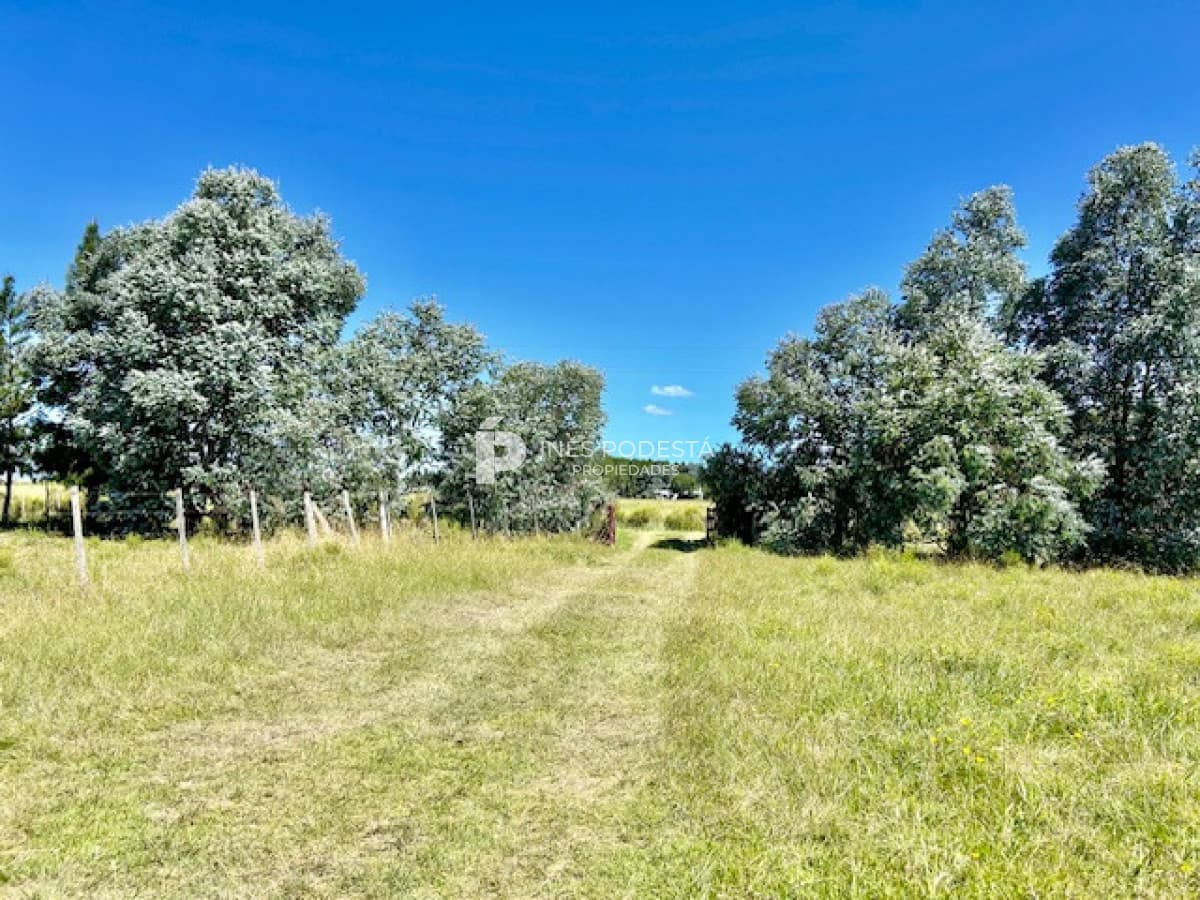 Chacra ID.41925 - Venta campo 5 hectáreas