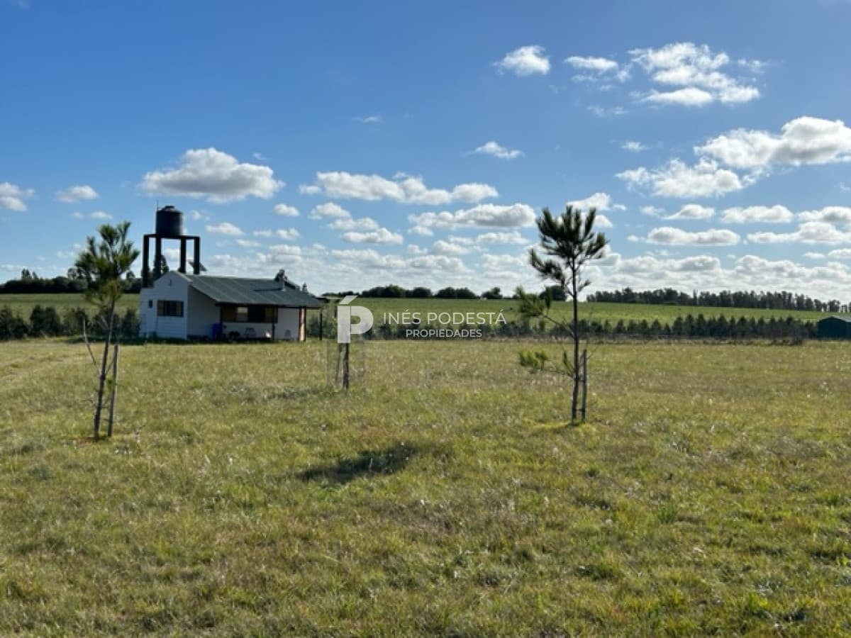 Chacra ID.39811 - Venta Chacra con casa en Solis
