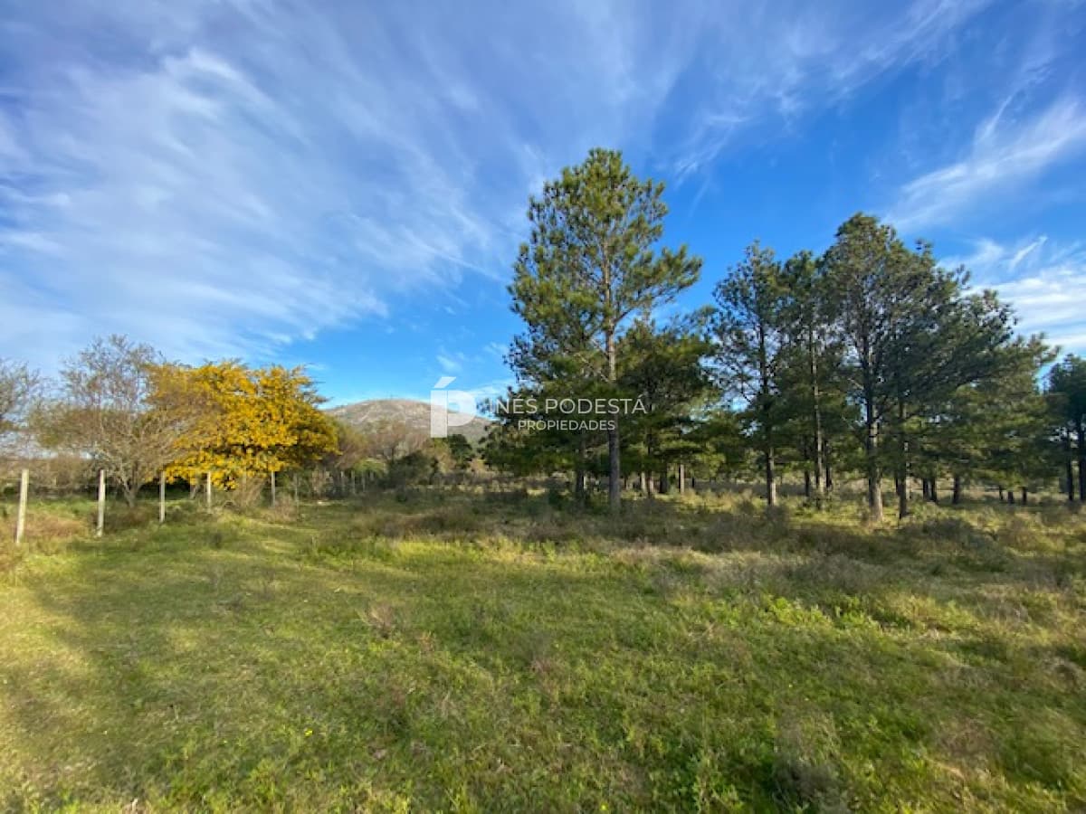 Chacra ID.38143 - Venta Chacra Piriápolis