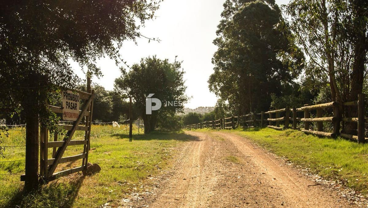 Chacra ID.41740 - Terreno en Venta de 11 hectáreas en La Pataia