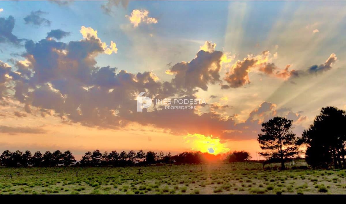 Chacra ID.41925 - Venta campo 5 hectáreas