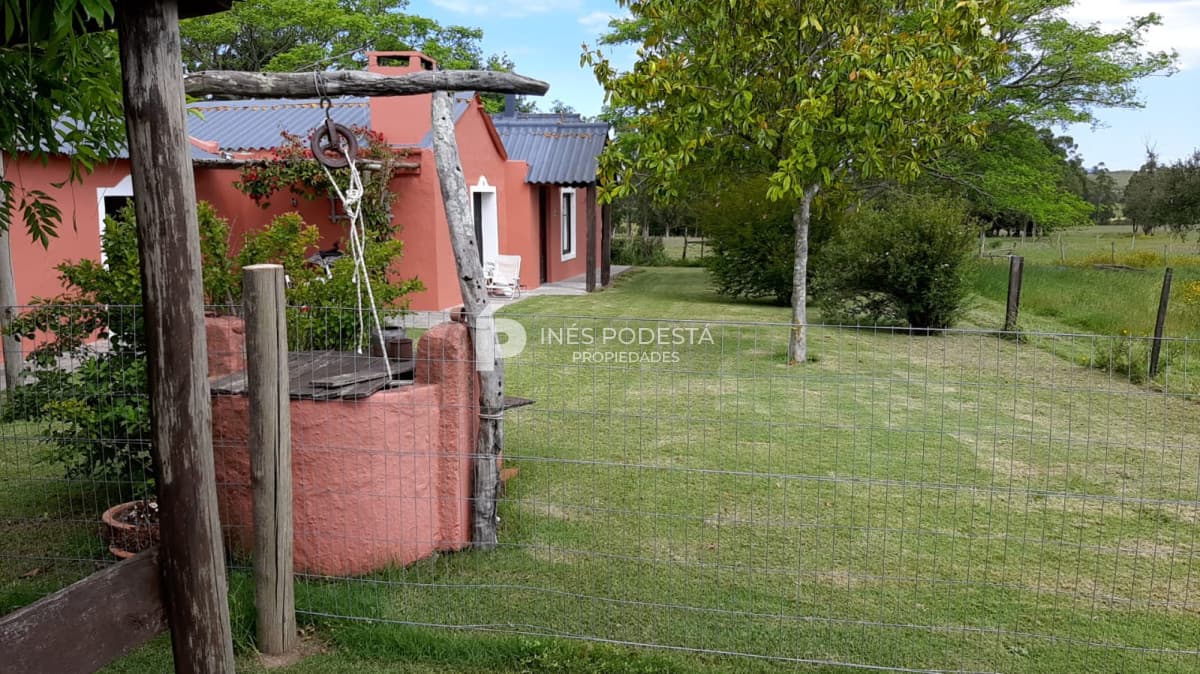 Chacra ID.38392 - Chacra en Pan de Azúcar
