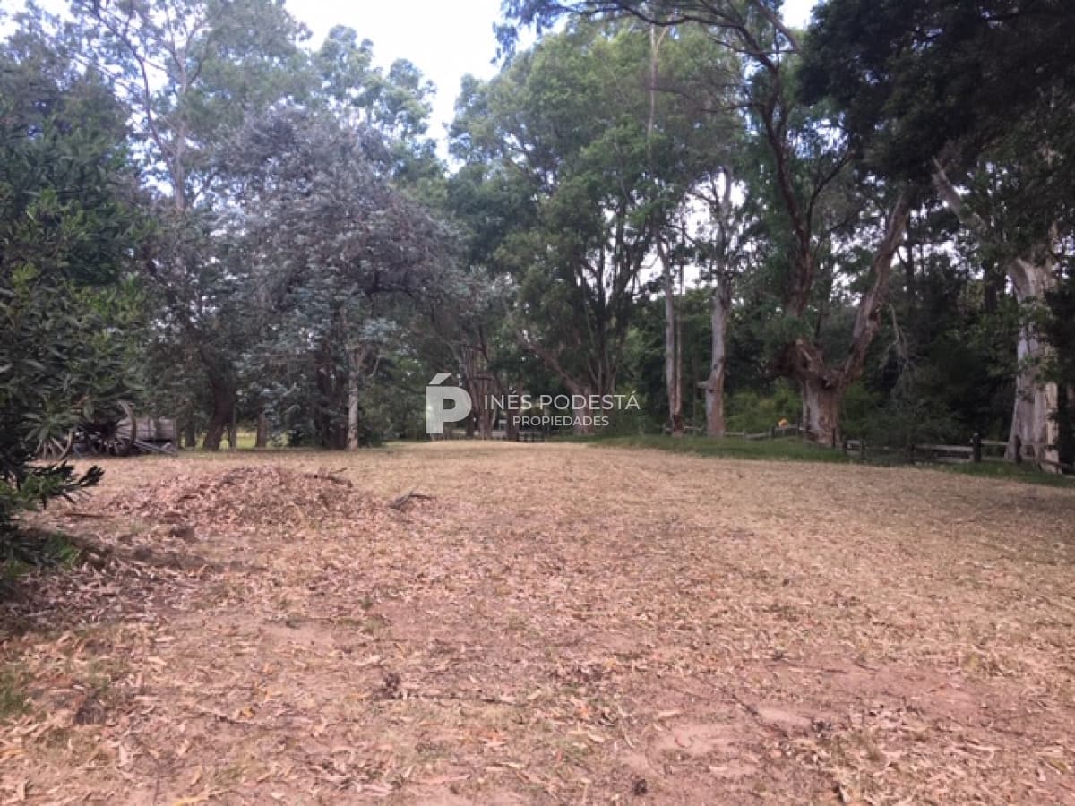 Chacra ID.36996 - Chacra en Punta Ballena