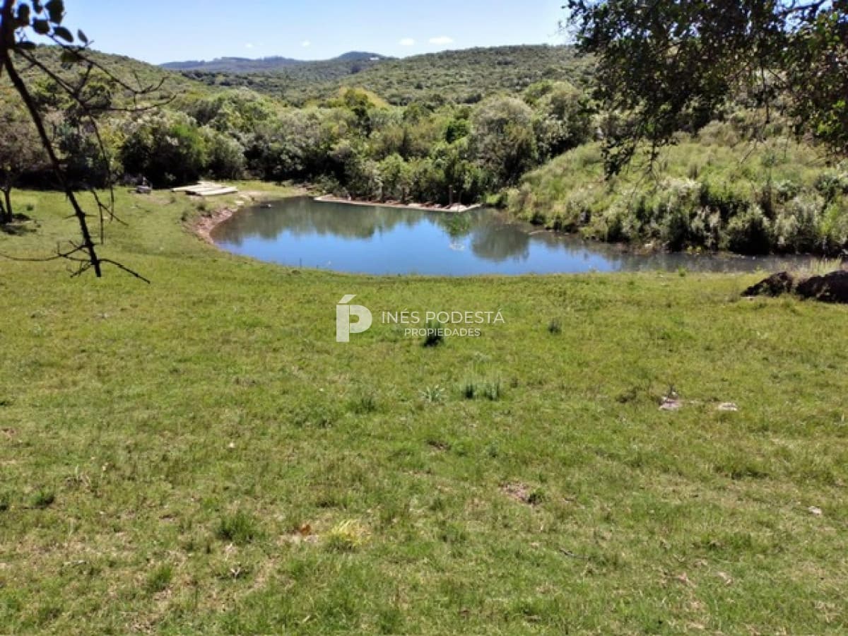 Venta de 384 hc próximo a Sierra de Carapé