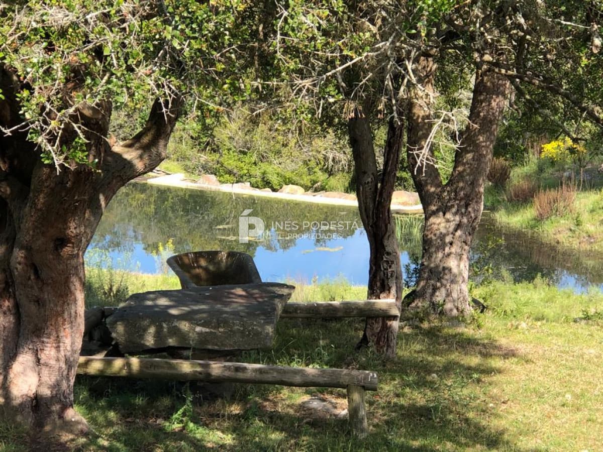 Venta de 344 hc próximo a Sierra de Carapé