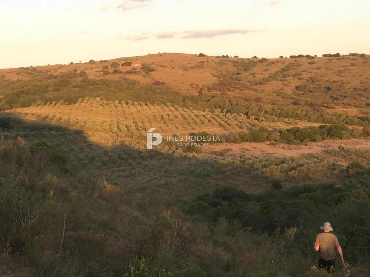 Venta 44 hc con importante salto de agua  en Sierra de Carapé