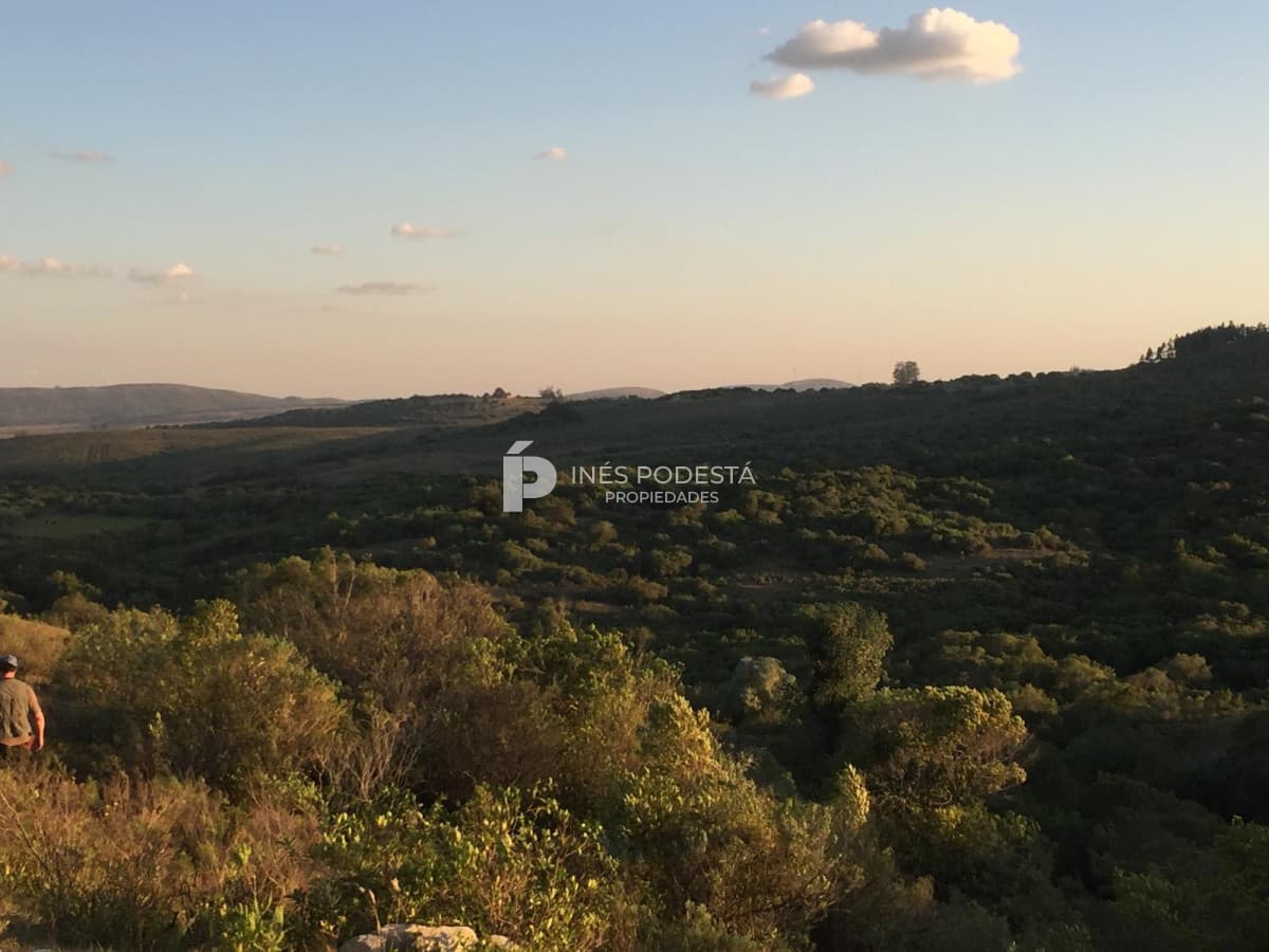 Venta 44 hc con importante salto de agua  en Sierra de Carapé