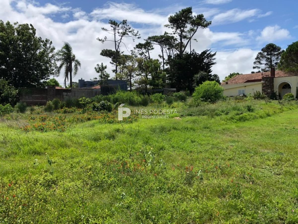 Terreno ID.37791 - Venta en Mansa 1419 m2 a metros de la rambla