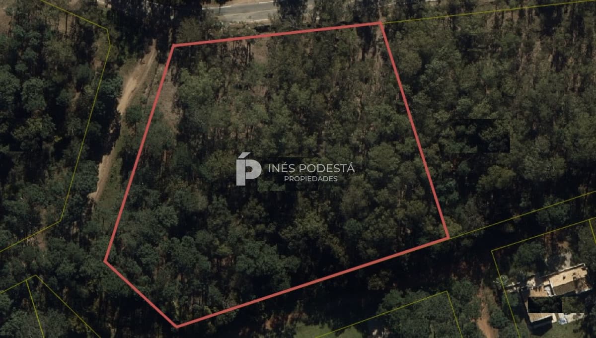 Terreno ID.37216 - GRAN TERRENO EN BURNETT