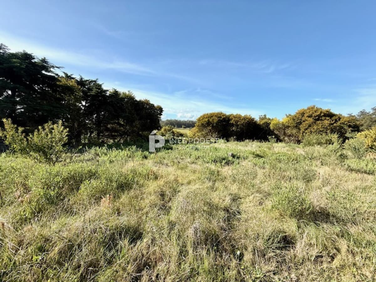Terreno ID.41729 - Lote de 5000 m2 en Mangrullos en Venta